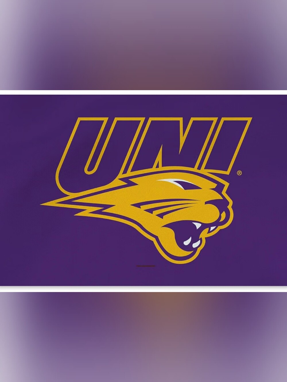 Northwest NCAA Northern Iowa Panther Washable Rug 36" x 62" inches